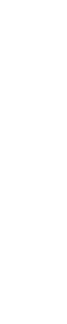 video_bg_shape3_1 2